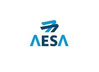 AESA_Cursos en materia de GESTIÓN